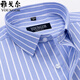 PDG Yageol Mente à manches courtes pour hommes Coton Summer Business Professional Casual Professional Wear Anti-Wrinkes Free-Ird-Agef Striped Shirt DX6623 38 Suggestions [100-120JIN [Jin est égal à 0,5 kg]]]