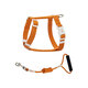 ZOOLAND cat traction rope to prevent break-away, walk large and small kittens, good-looking, lengthened, adjustable I-shaped chest and back, red tea orange L-recommended 5-16 Jin Jin equals 0.5 kg