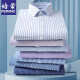 Pemon Free Hot Spring y Autumn Middle Middle-Edge Camisa de manga larga Negocio Formal Wear Camiseta de bolsillo Real Rayado Paddy Suit 6627 Blue Blue Dark 38 Recomendado 100-120 Jin [Jin equivale a 0.5 kg]