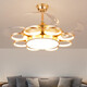 Opp (OPPLE) 2025 new lighting is suitable for invisible light luxury gold electric fan light ceiling fan light household living room bedroom dining 1047 gold-42 inch-remote control