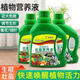 Nutrient solution plant universal flower fertilizer fortune tree rich bamboo green dill hydroponic potted household flower fertilizer universal nutrient solution 500g 2 bottles