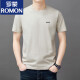 罗蒙（ROMON）男士短袖t恤夏季新款潮流棉简约圆领上衣休闲凉感体恤衫男T YS9929蓝色【带标】 均码 105【90-110斤】
