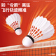 Kawasaki (KAWASAKI) Badminton Durable and Stable Training and Competition Balls Natural Feathers 12 Pack Lingjian L900