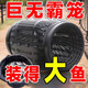 Buy one and get three free. Super large fish cage fishing artifact can only go in and out of the cage to catch crabs, loach and fish. Fishing net. 1 large fish cage. 32cm long and 20cm wide. 20cm long. Free bait + bait cup + cage rope.