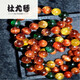 Du Youqin Colorful Hair Crystal Bracelet Fulu Shou Crystal Bracelet Blonde Crystal Red Green Cat Eye 520 Valentine's Day Birthday Gift Light Green H3271 105mm