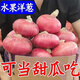 
[Eat raw slightly sweet] Gansu Jiuquan purple onion fresh red onion round onion 5 Jin [Jin equals 0.5 kg] Cheap vegetables for formaldehyde removal, high-quality selection of onion 13586 single_5 Jin [Jin equals 0.5 kg]