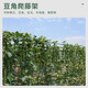 园艺支柱包塑钢管支花架黄瓜豆角葡萄种菜植物爬藤架支撑杆绿植架 直径11mm 长度180cm【10支装】