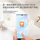 Échelle de poids Échelle de graisse corporelle Échelle électronique Support de poids Huawei Hilink Xiaomi Téléphone mobile Apple adapté à la perte de poids Dormitory Scale Body Scale Body Scale Hongmeng Scale de graisse corporelle / Haoyuebai / Batterie