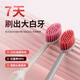 Yinyan forest toothbrush soft bristles adult ladies special wide head toothbrush large head soft bristles gum protection Roman column multi-pack