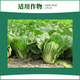 Zhongxun Zhongxun Zhongxun Zhongxun 8% Aminobutanol Chinese Cabbage Growth Regulator Soluble Powder Growth Regulator 300g