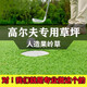 Artificial simulated turf carpet, fake turf, artificial turf floor mat, balcony canopy, silencer mat, outdoor insulation mat, special putting green grass for golf course (1 meter wide), please take a few if you need as many meters long as you need.