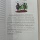 El libro de la línea de fábulas de EAESOP con símbolos fonéticos 88 artículos, comparación bilingüe china e inglesa, imágenes en color, serie de símbolos fonéticos, iluminación inglesa, materiales de lectura clásicos en inglés para inglés para niños, sin apoyo para leer, escanee el código para escuchar el audio, algunos videos gratuitos, Harry Potter y la piedra filosofera, con la piedra fonética con símbolos fonéticos, chinos e inglés 1234999999999