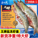 North Bay Ace Fresh Prawns Fresh Salted Frozen Ecuadorian White Prawns Original Imported South American Prawns Base Shrimp Net Weight 16-18cm Large Shrimp 3Jin Jin is equal to 0.5kg (net weight)