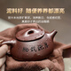 Guyuetang Yixing Purple Clay Pot Purely Handmade Famous Household Purple Clay Engraved Stone Scoop Teapot Tea Set Engraved Style-Single Pot 240ml