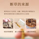Cordyceps sinensis gebrochenes Gras Cordyceps hohe Höhe Cordyceps sinensis authentisch Cordycep