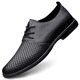 Sitio web oficial del sitio web oficial de Red Dragonfly Sitio web oficial zapatos para hombres Zapatos casuales Recoge The Bargain Summer Breathable Hollow Leater Shoes Business Men's Casual Dragonfly Red Black [9912 Hollow Style] 37