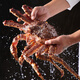 Jingcai Tianyuan Fresh Quick Frozen King Crab 4.5-4.9 Jin Jin is equal to 0.5 kg Russian Big Crab Fresh Seafood Dinner and Gift Delivery Directly from the Source