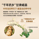 同仁堂（TRT）当归 精选甘肃原产当归切片搭黄芪枸杞泡水煲粥养生茶80g