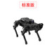 Fantasy Ros Robot Robot de cuatro patas Dog Puppypi Bionic Intelligent Programming AI Vision Modelo Raspberry Pi 4B/5 Versión de desarrollo insignia que incluye brazo robótico + radar + voz + expansión del sensor Raspberry Pi 5/8G