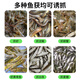 
The shark 12 holes in diameter 60 fish nets shrimp cage fishing cage can not be folded out only into the fishing nets, the dragon nets, eel cage fishing gear