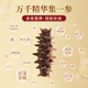 Kangyuetang Dalian ready-to-eat sea cucumbers, fresh sea cucumbers, bottom-sown wild authentic sea cucumbers, individually packaged frozen sea cucumbers, large king cucumbers, ready-to-eat sea cucumbers 1Jin Jin equals 0.5kg, 5-7 heads