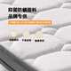 海马福宝床垫天然乳胶席梦思独立弹簧椰棕家用床垫子软硬两用可定制 偏硬护脊D款厚22cm 独立弹簧+棕 1350mm*1900mm
