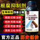 Yunfeng Harvest Root Rot Inhibitor Root Rot Nemesis Yellow Leaf Rot Root Damping-Down Dead Tree Stem Base Rot Strong Root Activation Soil Factory Direct Sales 2 Bottles * 2000g + Measuring Cup + Get 10% off for fake ones
