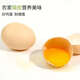 Jingxijia base direct delivery fresh eggs cereal eggs large eggs 50g fresh supermarket breakfast soft-boiled eggs express eggs 50g-30 pieces Jingxijia base direct delivery fresh eggs cereal eggs large eggs 50g fresh supermarket breakfast soft-boiled eggs express eggs 50g-30 pieces