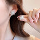 Dandelion Zircon Fireworks Earrings Niche High-end Exquisite Temperament Personalized Earrings 2025 New Ear Jewelry Dandelion Zircon Fireworks Earrings 1.5CM