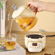 Mini fully automatic health pot tea kettle for stewing, all-in-one tea kettle, kettle, office small all-glass flower teapot, thermostatic kettle for one person, 2025 new kettle, mechanical model + constant temperature 55 0.65L + glass tea leakage