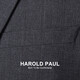 HAROLD PAUL dark gray striped no-iron anti-wrinkle suit men's business casual dark gray XL recommended 65-75kg (refer to the size chart)