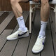 Nike (NIKE) official ship store men's shoes 2025 summer new sports shoes fashionable casual shoes breathable lightweight shoes men light silver gray / SB ADVERSARY / half-size 41