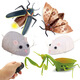 
Original direct supply of novel and unique infrared remote control electric insect toys electric snail and mouse prank 9923 bee 129G weight 0.29kg