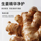 Flash [Big Brand Trial] ventilateur Chengcheng même shampooing polypeptide ginger empêche l'échantillon de shampooing de réparation de réparation d'huile capillaire