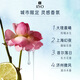 Ryo Fragrance Lukong Oil Fluffy Long-lasting Fragrance Shanghai Huan Ye Shampoo 580ml
