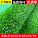 Liangxiang Simulated Lawn Carpet Plastic Artificial Green Fake Turf Kindergarten Balcony Outdoor Padding Courtyard Engineering Fence 3mx1m Spring Grass 2cm Encrypted Style