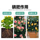 Yuntianhua Phosphate Fertilizer Flower Superphosphate Flower Fertilizer Vegetable Fertilizer Root Strengthening Fertilizer Adjusting Soil Fertilizer Chemical Fertilizer Vegetable Agricultural Fertilizer Phosphate Fertilizer Granules 5Jin Jin is equal to 0.5 kg