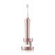 Panasonic electric toothbrush imported dual motor horizontal and vertical vibration suspension charging gum protection clear seam for adult couples to give men and women birthday Christmas gifts PDP67 powder national subsidy