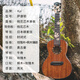 Kai Fun Musical Instrument Samoyed Peach Blossom Core Veneer Anfänger süße Ukulele 23-Zoll-Gitarrenkinder und Frauen Samoyed Peach Blossom Core-Face List 23-Zoll