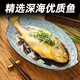 GUO LIAN Guolian Sanlu yellow croaker 2 pieces, total net weight 2Jin Jin is equal to 0.5kg, domestic Ningde East China Sea large yellow croaker dinner seafood and aquatic ingredients