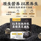 Tongrentang red dates, walnuts, mulberries, wolfberry, black sesame balls 405g hair nourishing black hair steamed nine sun-free sugar