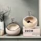 Entrance key storage ornament feels the entrance door placing racks light luxury shoe cabinet living room children's room Swan pair white 693