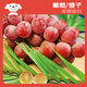 Jingxiansheng Queen Nina Grape Super Seedless Red Lift 1Jin[Jin equals 0.5 kg] Pack Fresh Fruit