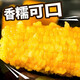 New arrivals of the season: Northeast yellow sweet glutinous corn on the cob vacuum-packed low-fat yellow waxy big stick sweet Northeast sticky corn yellow waxy corn 120-160g 3 sticks