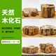 Wen Shiou Schildkröte Sonnenstein Naturholz Fossile Fischtank Landschaft Stein Rockerie Ornamente Aquarium Rohstein Drei Seen südamerikanische dekorative Steinholz Fossil 9273
