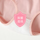 Children's underwear for girls, Class A pure cotton, 3A grade antibacterial briefs, cute breathable shorts for middle-aged and older children, strawberry, 3 pieces, 160 (recommended height 150-160)
