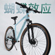 Philips (Phillips) Benjamin Series Gravel Road Bicycle adulte variable vitesse d'absorption d'amortisseur d'entrée de gamme hommes et femmes en montagne monte
