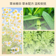 
Lutein cold compress eye patch work eye fatigue, dryness, moisturizing and relieve eyes staying up late and overtime students cool and refreshing. Add 10 bags of lutein mugwort to hand 20 patches