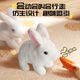 Huangen Electric Plush Bunny Doll peut bouger et appeler un chariot pour animaux de compagnie pour jouer à la maison des jouets pour enfants Girls d'anniversaire Gift
