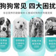 Fei Ai Lifetime dog food universal type 5 Jin Jin is equal to 0.5 kg. Adult dogs, puppies, small dogs Teddy Pomeranian, Corgi, main food for the whole dog period. Comprehensive nutrition containing chicken and fresh meat. General food. 5 Jin Jin is equal to 0.5 kg. 5 Jin Jin is equal to 0.5 kg.